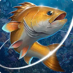 Скачать Рыболовный крючок 30.5.2 MOD APK (МОД, Неограниченное количество денег)